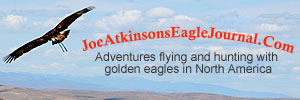 Joe Atkinsons Eagle Journal