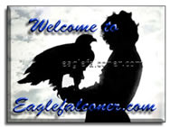Eagle Falconer