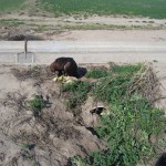 JH with jack near the pipe