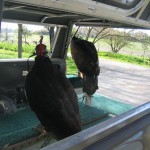 Mini-Me and JH ready to go!