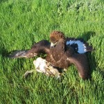 MM on first kill YES!!!!